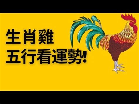 水雞命|【今年雞屬五行是什麼命】屬雞五行屬什麼 